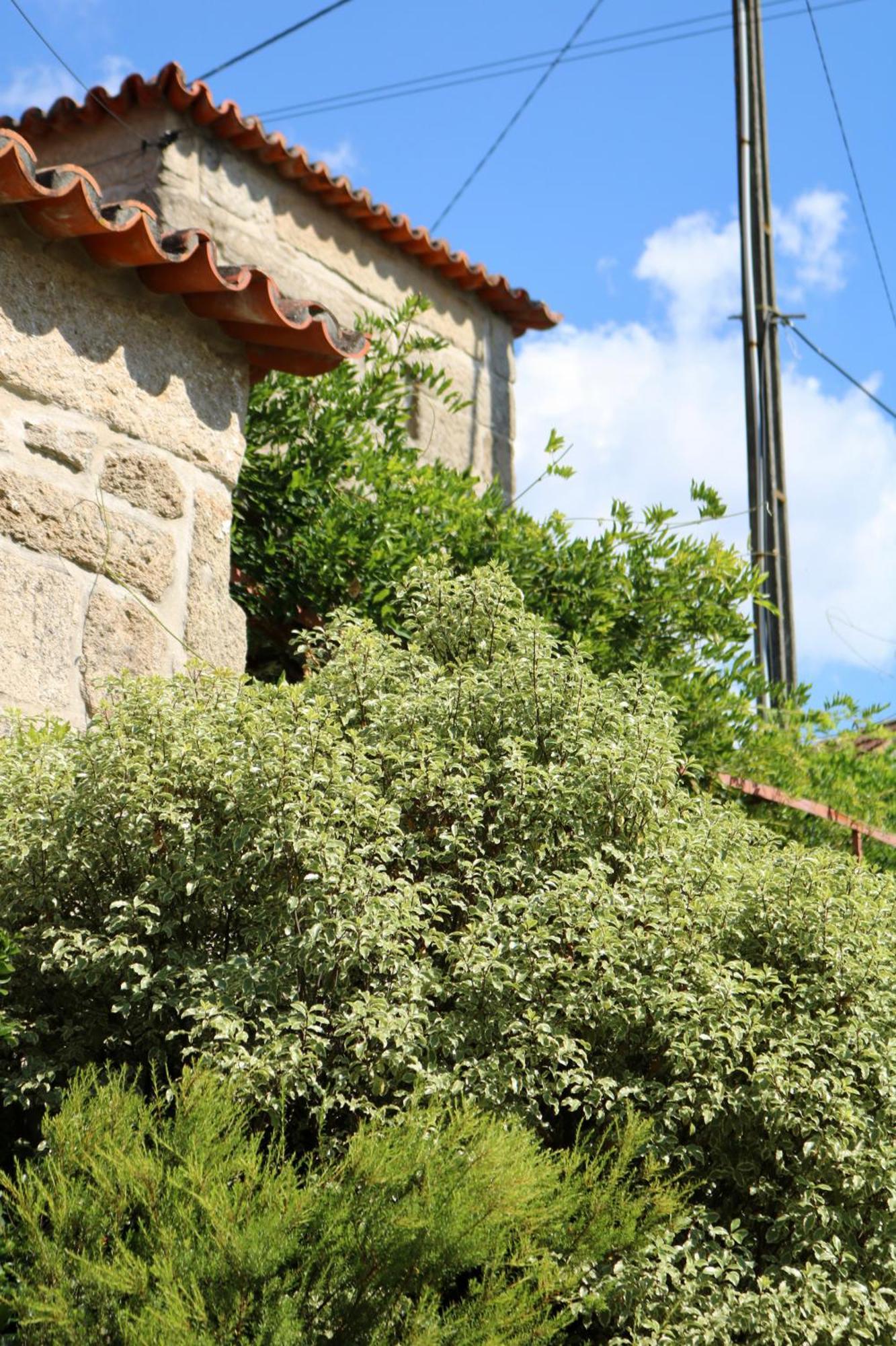 Casa Da Eira Villa Marco de Canavezes Kültér fotó